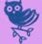 Hibou Bibou